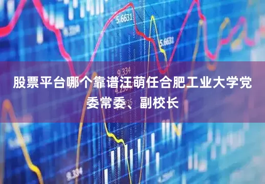 股票平台哪个靠谱汪萌任合肥工业大学党委常委、副校长