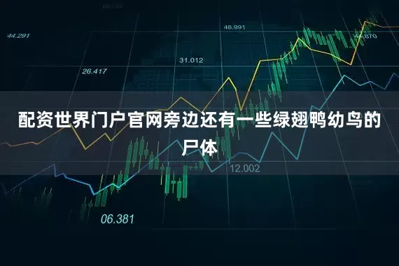 配资世界门户官网旁边还有一些绿翅鸭幼鸟的尸体