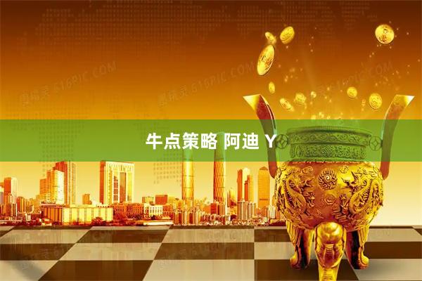 牛点策略 阿迪 Y