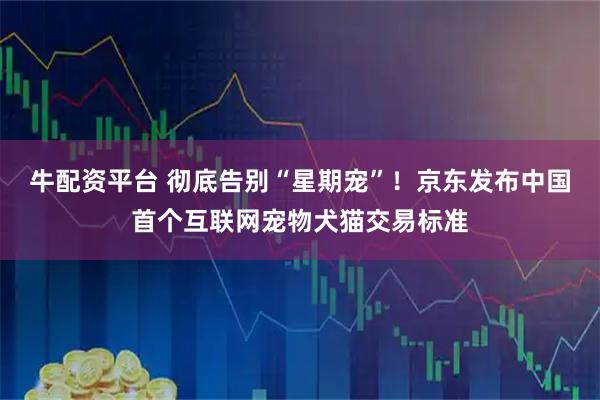 牛配资平台 彻底告别“星期宠”！京东发布中国首个互联网宠物犬猫交易标准